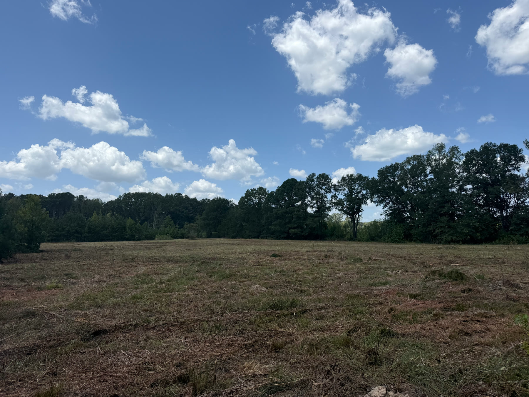 57 acres of off-market development land in Camden, Mississippi
