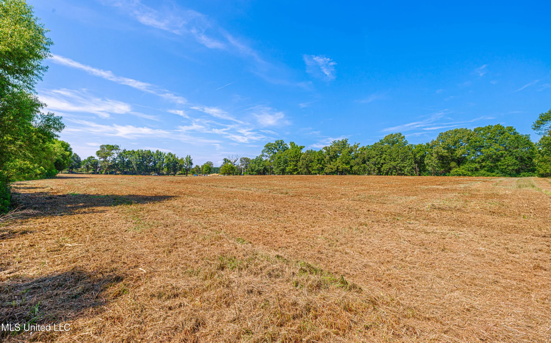 174 Catlett Road property photo 14