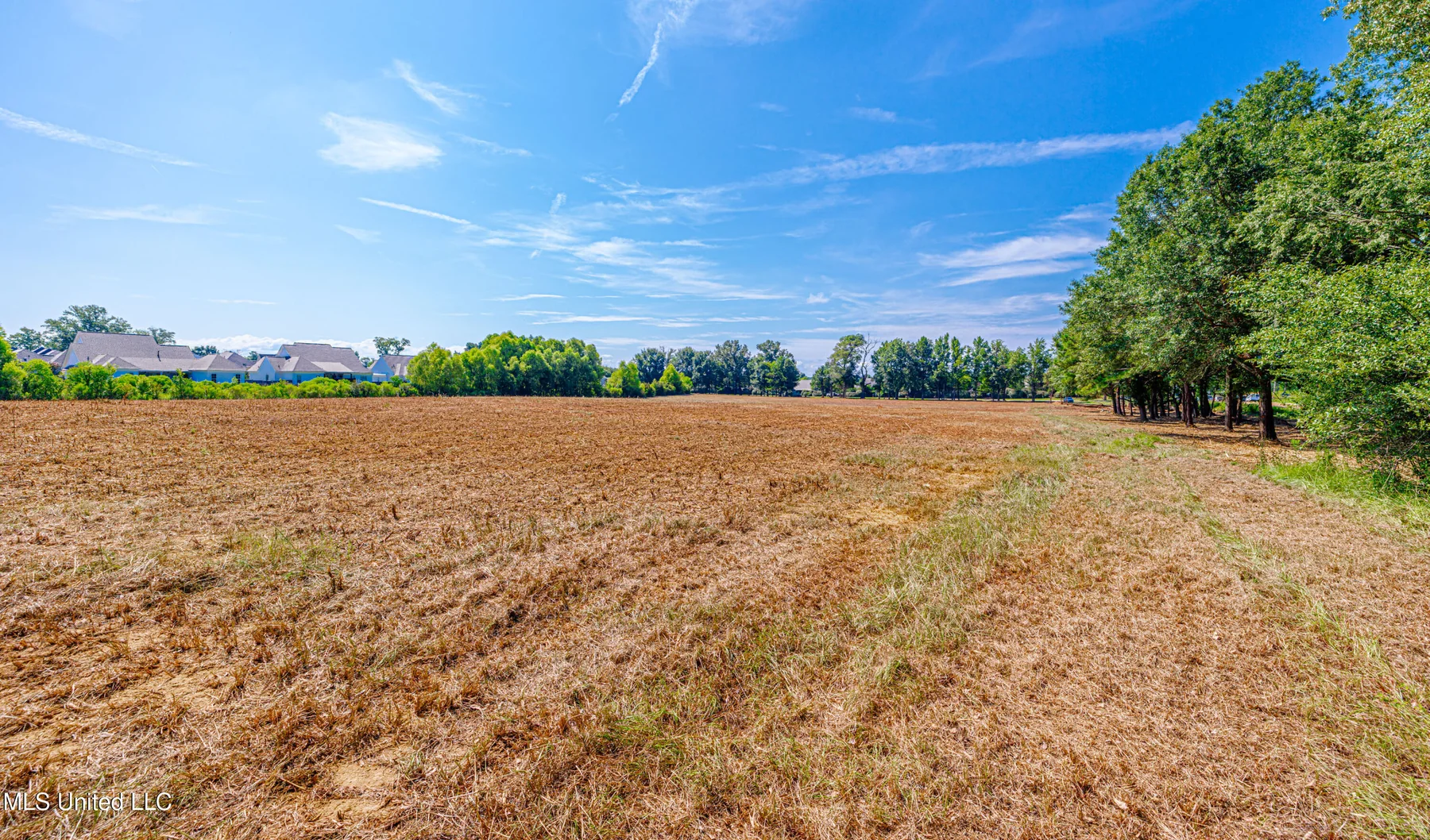 174 Catlett Road property photo 15