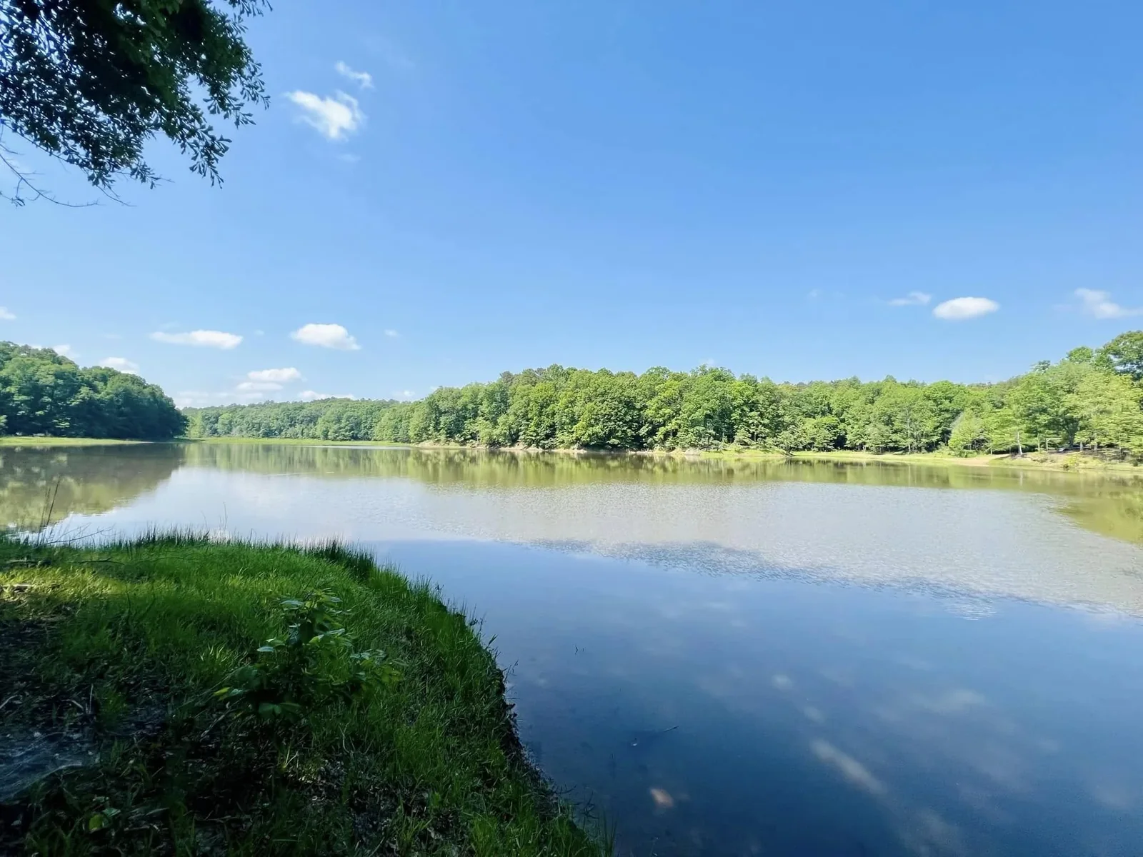 Mississippi waterfront property and lake