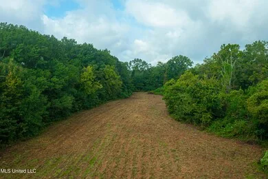 First Street, Flora, Mississippi property photo 7