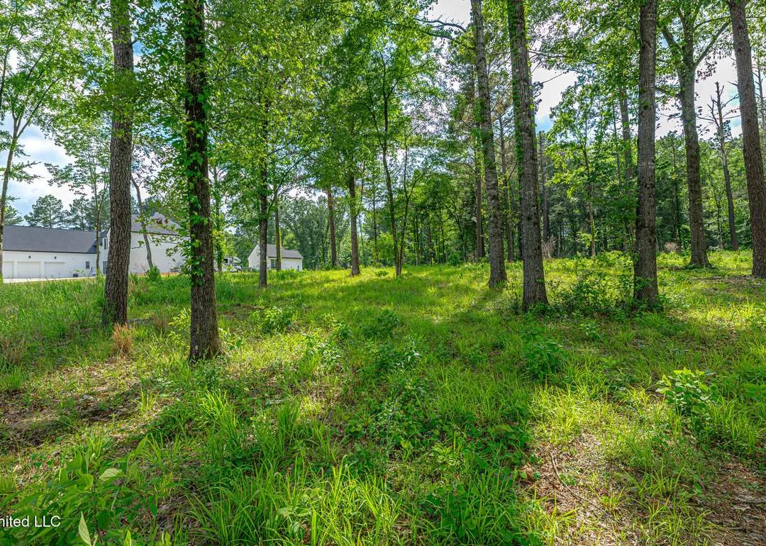 159 Hunters Cove Lot 2 property photo 4