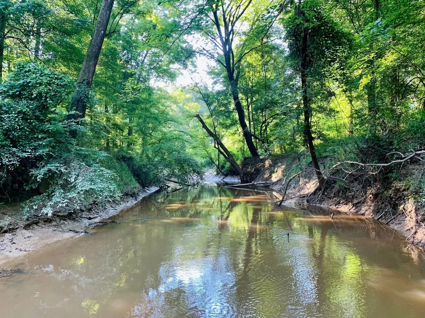 200± Acres in Madison County