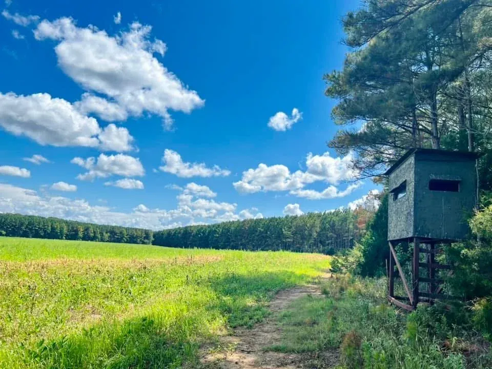 115.61± Acres of Farmland in Canton, MS