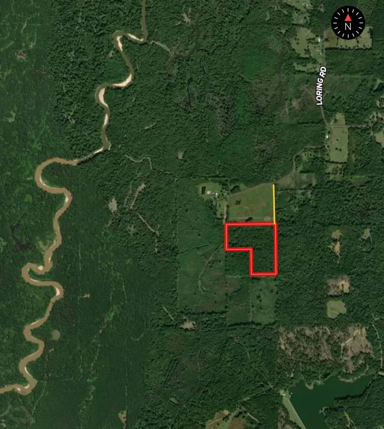 Madison County: Hunting Land Near the Big Black River