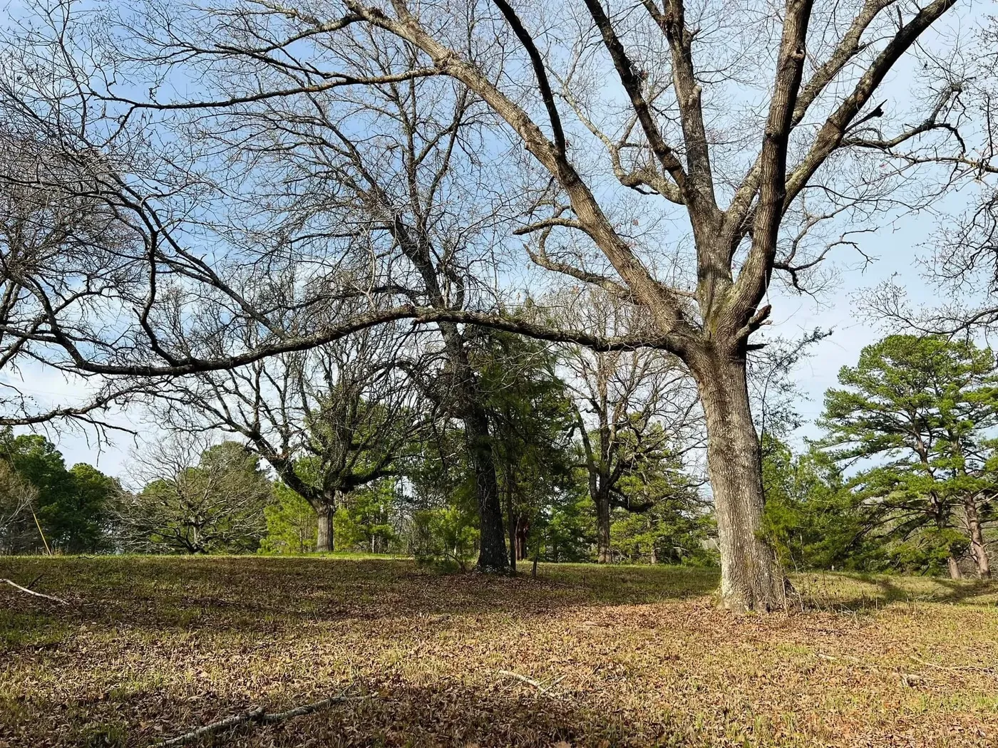 11± Acres on Cedar Hill Road, Madison County, MS