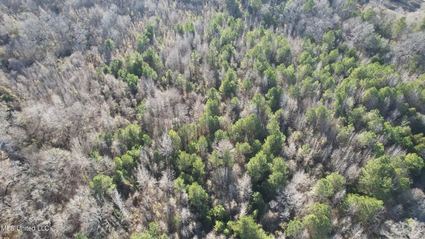 Madison County Land Tract